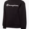 Champion Pullover 2 Champion Pullover -Familien Mode Verkauf 2085652 H1