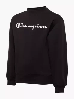 Champion Pullover