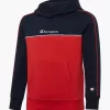 Champion Hoodie 2 Champion Hoodie -Familien Mode Verkauf 2085971 H1