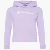 Champion Hoodie 2 Champion Hoodie -Familien Mode Verkauf 2180537 H1
