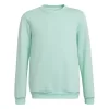 Adidas Entrada 22 Sweatshirt