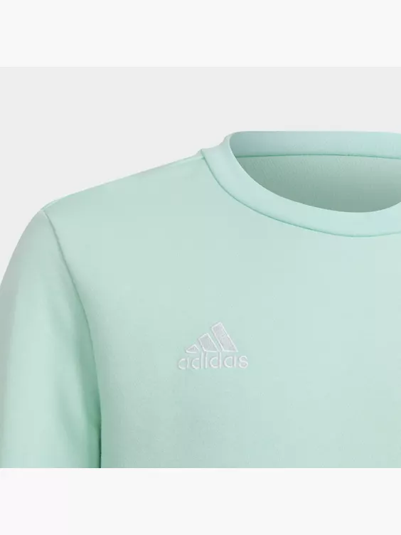 Adidas Entrada 22 Sweatshirt 5 Adidas Entrada 22 Sweatshirt – Bild 3