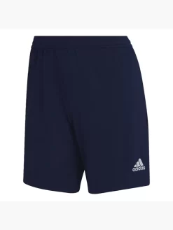 Adidas Entrada 22 Training Shorts